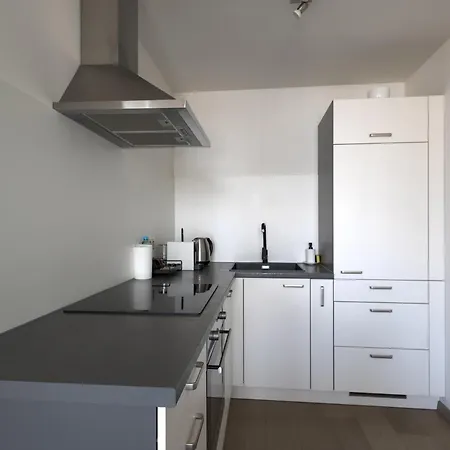 Daire Skau Panorama Family & Business View Free Parking *